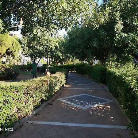 Beautiful House In Alimos Near To The Beach And Metro Atene Esterno foto
